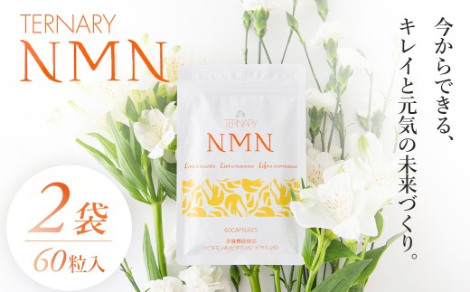 ターナリ―NMN(60粒入パウチ)×2袋【エイジングケア 高純度 健康維持 毎日習慣 国内工場 緑黄色野菜 ビタミンA ビタミンC ビタミンE NAD 美容 健康 カプセル 静岡 伊豆 RNA NMN nmn サプリ サ