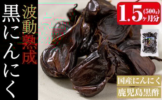 a514 |ɂɂ500gyt@[H[z ǎs Y jjN ɂɂjjN K[bN  Hiǎs12000؁Ê̑ 