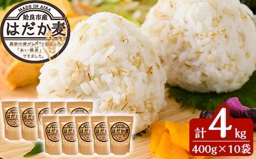 a713 数量限定!姶良市産はだか麦(計4kg・400g×10個)【竹之内穀類産業】 姶良市 国産 姶良市 ご飯 麦ごはん はだか麦 穀物 食物繊維 小分け鹿児島県姶良市12000米・パン玄米・雑穀米・もち米・