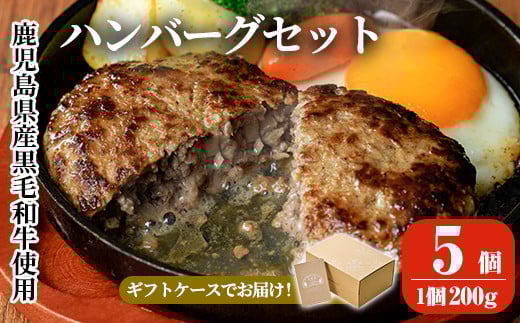a750 鹿児島県産黒毛和牛ハンバーグセット(200g×5パック)【AKR Food Company】姶良市 国産 牛肉100% 冷凍 小分け鹿児島県姶良市16000肉牛肉