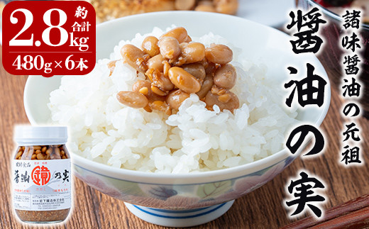 a757 醤油の実(約2.8kg・480g×6本)【岩下醸造】姶良市 常温 瓶詰め鹿児島県姶良市16000調味料・油醤油