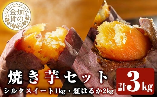 a0001-BS3 冷凍焼き芋!畑の金貨・やきいもセット(紅はるか2kg・シルクスイート1kg)計3kg【甘いも販売所】姶良市 焼き芋 訳あり やきいも スイーツ さつまいも 熟成鹿児島県姶良市12000野菜・き