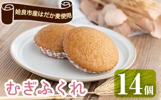 a817 ǎsY͂gpނӂ(v14)͂ƎƐgpH@ۖLxȋyَq͂yځzǎs12000َqEXC[c̑ mَq