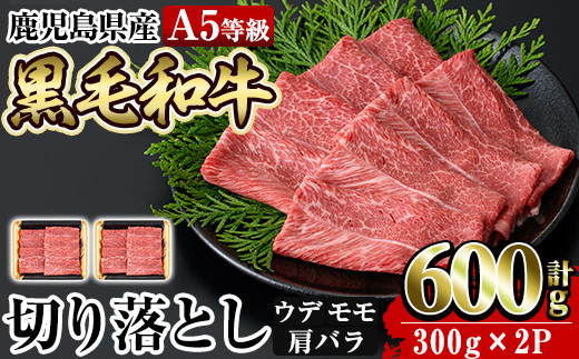 a855 ≪A5等級≫鹿児島県産黒毛和牛切り落とし計600g(300g×2P)【水迫畜産】 姶良市 国産 牛肉 切り落とし鹿児島県姶良市14000肉牛肉