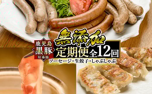 a888 《定期便全12回》鹿児島黒豚「短鼻豚」無添加ソーセージ&生餃子&しゃぶしゃぶ【鹿児島ますや】姶良市 豚肉 黒豚 無添加 ウィンナー ソーセージセット ウインナーソーセージ 豚しゃ
