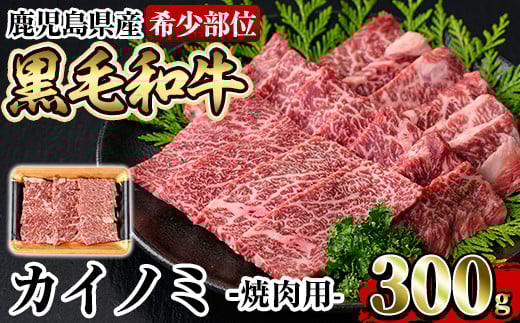 a894 s󏭕ʁtYјaJCm~ē(300g)y{Yzǎs Y Y    JCm~ ēp XCX 󏭕 _炩 Ⓚǎs12000