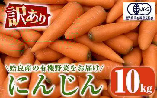 a992 《訳あり》《先行予約受付中!2025年12月上旬〜2026年3月上旬の間に発送予定》有機人参 (10kg)【今村農園】姶良市 国産 有機栽培 有機 野菜 やさい にんじん ニンジン 訳アリ鹿児島県姶良