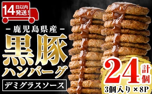 a1003 鹿児島県産黒豚ハンバーグ 計24個 (210g(3個入)×8P) 【AKR Food Company】姶良市 ハンバーグ デミグラスソース デミソース 国産 鹿児島県産 肉 豚 豚肉 かごしま黒豚さつま お弁当 惣菜 総菜 冷