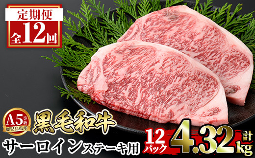 a853-G 【12回定期便】≪A5等級≫鹿児島県産黒毛和牛サーロイン2枚入り(12P計4.32kg) ギフト箱入り【水迫畜産】姶良市 国産 牛肉 ステーキ ステーキ肉 和牛鹿児島県姶良市155000肉牛肉