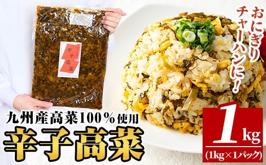 a568-A 九州産辛子高菜1kg(1kg×1パック)【九州新進】姶良市 国産 九州産 たかな 漬物 漬け物 ご飯のお供 おかず おつまみ おにぎり 常温 常温保存鹿児島県姶良市5000鍋セット・総菜・加工食品漬
