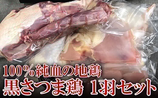 a190 黒さつま鶏1羽セット(約1kg) 【NSファーム】 姶良市 国産 九州産 鹿児島県産 地鶏 鶏肉 鳥肉 とり モモ ムネ ササミ 砂ずり レバー 手羽先 詰め合わせ鹿児島県姶良市40000肉鶏肉
