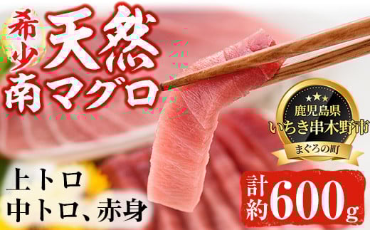 天然! 南マグロ 冷凍 上トロ 200g 中トロ 200g 赤身 200g 合計約600g  希少 な ミナミマグロ の 堪能セット 南まぐろ 刺身 小分け 【新洋水産】 【B-270H】鹿児島県いちき串木野市38000魚介・海産物鮮
