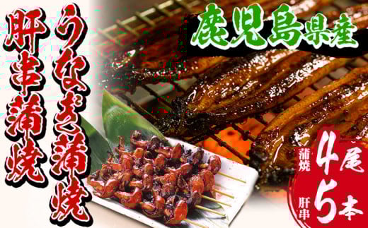 【数量限定】厳選!国産 鹿児島県産 うなぎ 蒲焼 大 4尾 合計約640g + うなぎ 肝串 5本(1パック)鹿児島県産新仔うなぎ使用 こだわりの地焼き!冷凍うなぎ 秘伝のタレ 付き 真空パック 珍