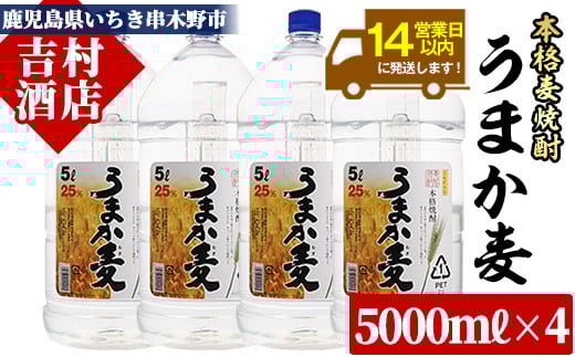 麦焼酎 「うまか麦」 たっぷり 5L×4本 計20L!  25度 鹿児島 本格麦焼酎 白麹 若松酒造 【E-044H】鹿児島県いちき串木野市74000酒・アルコール焼酎