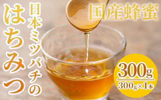 【数量限定】国産はちみつ 非加熱 瓶入り 300g×1本 ニホンミツバチ から分けてもらった 無添加 百花 の 純粋蜂蜜♪【A-895H】鹿児島県いちき串木野市11000鍋セット・総菜・加工食品ジャム・は