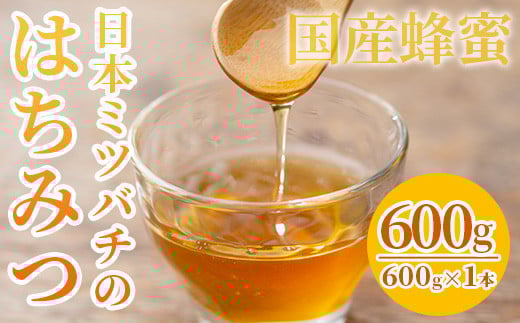 yʌzY݂͂ M r 600g×1{ jz~co` 番Ă Y S  IyAA-040Hzؖs22000ZbgE؁EHHiWE