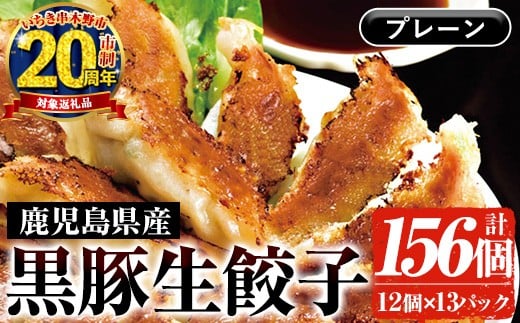 【家計応援】鹿児島黒豚生餃子 合計156個!(12個×13P) 国産 鹿児島県産 黒豚 餃子 ぎょうざ ギョーザ ギョウザ 冷凍餃子 冷凍 冷凍食品 惣菜 弁当 おかず 小分け 詰め合わせ 大容量【CP-023H