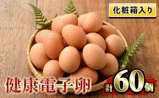 化粧箱入り!健康電子卵 赤卵 Lサイズ 60個(10個×6パック)(うち、割れ保証分10個)国産 鹿児島県産 鶏卵 1パック10個入りで使い勝手がいい!【A-1634H】鹿児島県いちき串木野市11000卵・乳