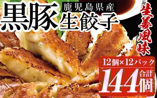 鹿児島黒豚生餃子(生姜風味)12個×12パックセット 計144個 国産 鹿児島県産 黒豚 餃子 ぎょうざ ギョーザ ギョウザ 冷凍餃子 冷凍 冷凍食品 惣菜 弁当 おかず 小分け 詰め合わせ 【A-1866H】鹿