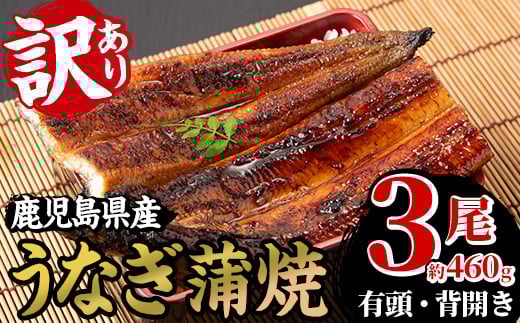 【訳あり】数量限定! 国産 鹿児島県産 うなぎ 蒲焼 3尾 合計約460g超! 鰻養殖生産量日本一 鹿児島県産新仔うなぎ使用 こだわりの地焼き! 冷凍うなぎ 秘伝のタレ 付き うな重 うな丼 きざ