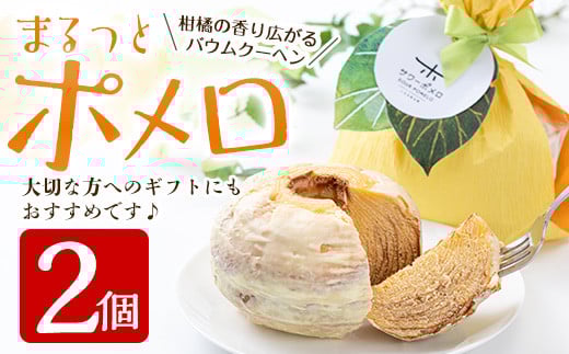 【数量限定】まるっとポメロ 2個(約380g×2個)一層一層丁寧に焼き上げた オリジナル バウムクーヘン!鹿児島県産 サワーポメロ を使用した スイーツ!【A-1633H】鹿児島県いちき串木野市110
