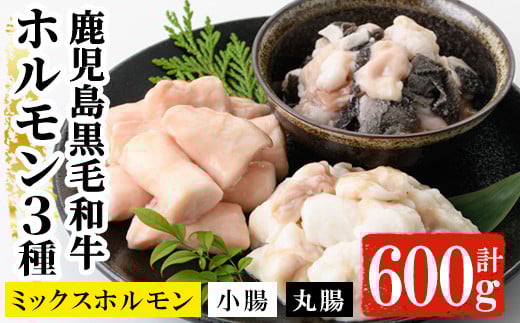 鹿児島県産 黒毛和牛 ホルモン 3種 盛合わせ 600g(小腸 200g 丸腸 200g ミックスホルモン 200g) 冷凍 小分け 国産 鹿児島県産 黒毛和牛 ミックス ホルモン 焼肉【A-1460H】鹿児島県いちき串木野市