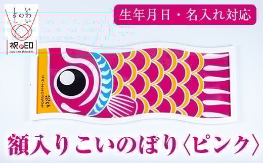 額入りこいのぼり【ピンク色】ESSEふるさとグランプリ2023金賞受賞!【E-113dH】鹿児島県いちき串木野市98000衣類・装飾品・工芸品その他 装飾品・工芸品