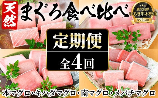 【4か月定期便】厳選!4種の天然まぐろを食べ比べ! メバチマグロ キハダマグロ 南まぐろ 本まぐろ 小分け【E-165H】鹿児島県いちき串木野市110000魚介・海産物鮮魚