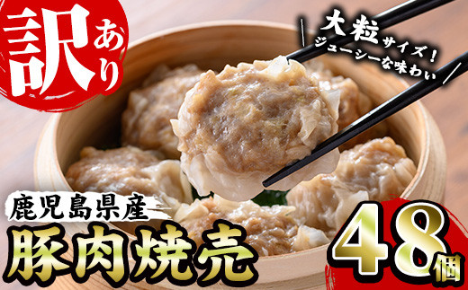 【訳あり】鹿児島県産豚肉使用 焼売48個セット(計48個・24個×2P)焼売 シュウマイ しゅうまい シューマイ 業務用 国産 冷凍 冷凍食品 レンジ お弁当 おかず 惣菜 時短 夕食 【A-1873H】鹿児島