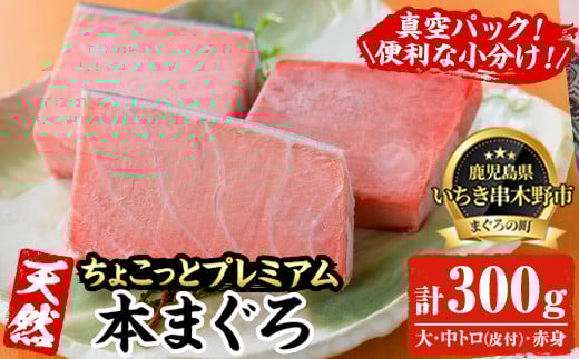 天然! 本マグロ 真空 冷凍 大トロ 100g 中トロ 100g 赤身 100g 合計300g ☆ちょこっとプレミアム☆ 希少 な 本まぐろ のフルセット  刺身 小分け プチ贅沢 【A-2019H】鹿児島県いちき串木野市17000魚