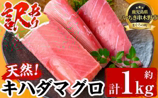 ☆訳あり☆ 数量限定 天然!  キハダマグロ  冷凍 200g前後柵×4-6柵 たっぷり 合計約1kg!  天然 きはだまぐろ を 柵 で お届け! わけあり 訳アリ  刺身 小分け キハダ キハダマグロ 【海鮮まぐろ家