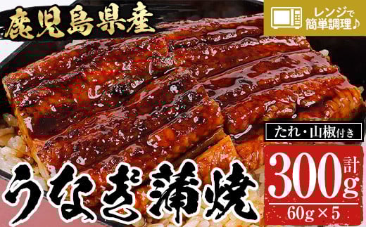 鹿児島県産うなぎ蒲焼300g(60g×5袋)レンジ対応可 鹿児島県産 うなぎ蒲焼 をご家庭で! 【A-1777H】鹿児島県いちき串木野市15000魚介・海産物うなぎ