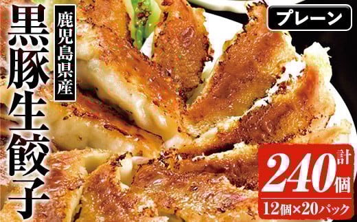 ĂؐLq v 240Ii12×20Pj Y Y  Lq 傤 M[U MEU ⓀLq Ⓚ ⓀHi y ٓ   lߍ킹 eʁyA-1857H