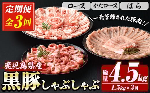 y3ցzY b̍ ԂԃZbg v1.5kg ([X 250g×2 E[X 250g×2 E΂ 250g×2  Ԃԓ )  R ͂ ! i  4.5kg j Ⓚ  Y