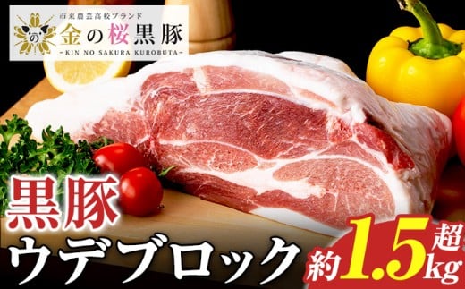 \塊肉/金の桜黒豚 ウデ肉 ブロック 約1.5kg超え  鹿児島県産 黒豚 豚肉 ブロック肉  塊肉 とんかつ【A-2000H】鹿児島県いちき串木野市13000肉豚肉
