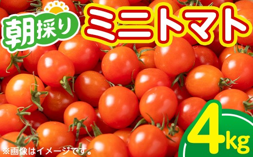̂ ~jg}g 4kgIÂƎ_̃oX Y VN T_ ٓ \[X }l AGRICIAyA-1934Hzؖs11000؁Êg}g