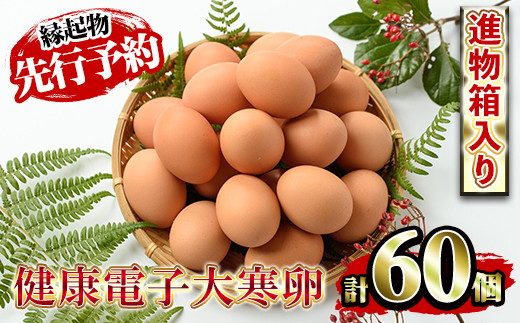 【先行予約】数量・期間限定!2026年の健康電子大寒卵(だいかんたまご)(50個+割れ保障10個)国産 鹿児島県産 鶏卵 1パック10個入 大寒たまご【A-1954H】鹿児島県いちき串木野市19000卵・乳