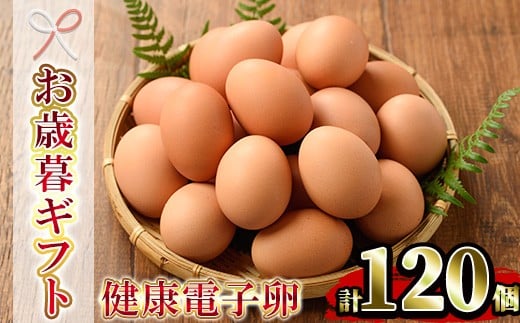 【令和7年お歳暮対応】健康電子卵 赤卵 Lサイズ 120個(10個×12パック)(うち、割れ保証分10個)国産 鹿児島県産 鶏卵【SA-304H】鹿児島県いちき串木野市19000卵・乳製品卵(鶏、烏骨鶏等)