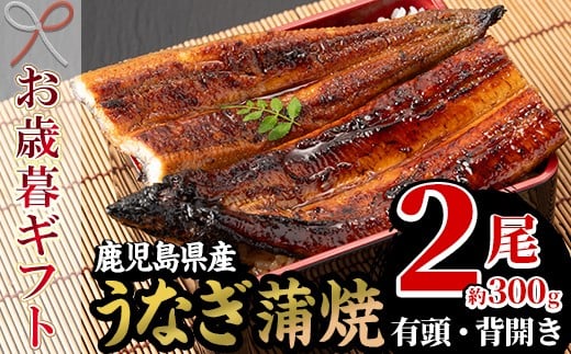 【令和7年お歳暮対応】厳選!国産 うなぎ 蒲焼 2尾 約300g(鹿児島県産)国産 うなぎ 鰻 ウナギ 地焼き【南竹鰻加工】【SA-313H】鹿児島県いちき串木野市19000魚介・海産物うなぎ