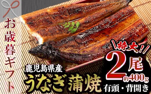 【令和7年お歳暮対応】厳選! 国産 鹿児島県産 うなぎ  蒲焼 特大 2尾 約400g 新仔うなぎ 地焼き 秘伝のタレ 付き うな重 うな丼 きざみ鰻 せいろ蒸し 弁当 贈答 ギフト【南竹鰻加工】【SB-038H