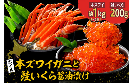 本ズワイガニ3肩〜5肩(約1kg)と北海道産鮭いくら醤油漬け200g【er018-027】北海道えりも町22000魚介・海産物カニ
