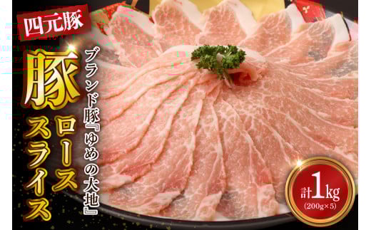 【えりも町生まれ 四元豚】ゆめの大地豚ローススライス200g×5パック 計1kg【er020-001】北海道えりも町10000肉豚肉