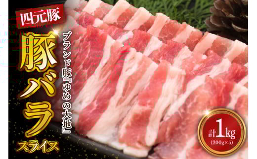 【えりも町生まれ 四元豚】ゆめの大地豚バラスライス200g×5パック計1kg【er020-004】北海道えりも町10000肉豚肉