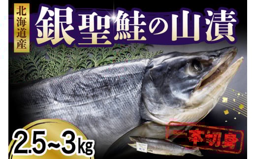 ␹̎RЂ1{ؐgyer003-024zkC40000ECYN