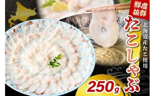 ԁi250gjyer018-080z/  ^R  ~Y_R iM_R r hg RRH CN C̍K CY YHi Hi HHi  O n Y Yn  }Ⓚ