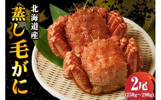 北海道産活蒸し毛蟹約250g〜約290g×2尾【er001-108-a】北海道えりも町20000魚介・海産物カニ
