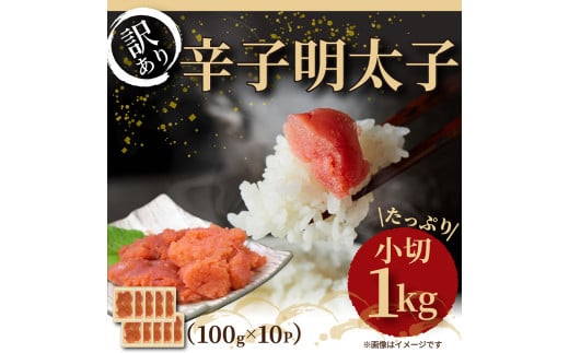 喞I 󂠂 hqq  1kg 100g×10pbNɕ{s12000ECYqȆ