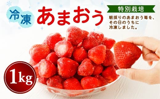 【特別栽培】うるう農園 冷凍あまおう 1kg【2025年2月上旬発送開始】あまおう イチゴ いちご 苺 フルーツ 果物福岡県太宰府市10000果物・フルーツいちご