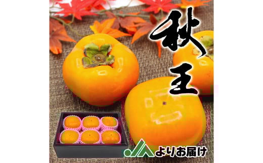 H̃t[c̉l uh` u H v ϔ 1.75kg 6y2025N10{`11{\zɕ{s16000ʕEt[c̑ ʕEt[c