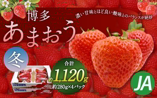 博多 あまおう 4パック(冬)【2025年12月上旬〜2026年1月下旬発送予定】福岡県太宰府市16000果物・フルーツいちご